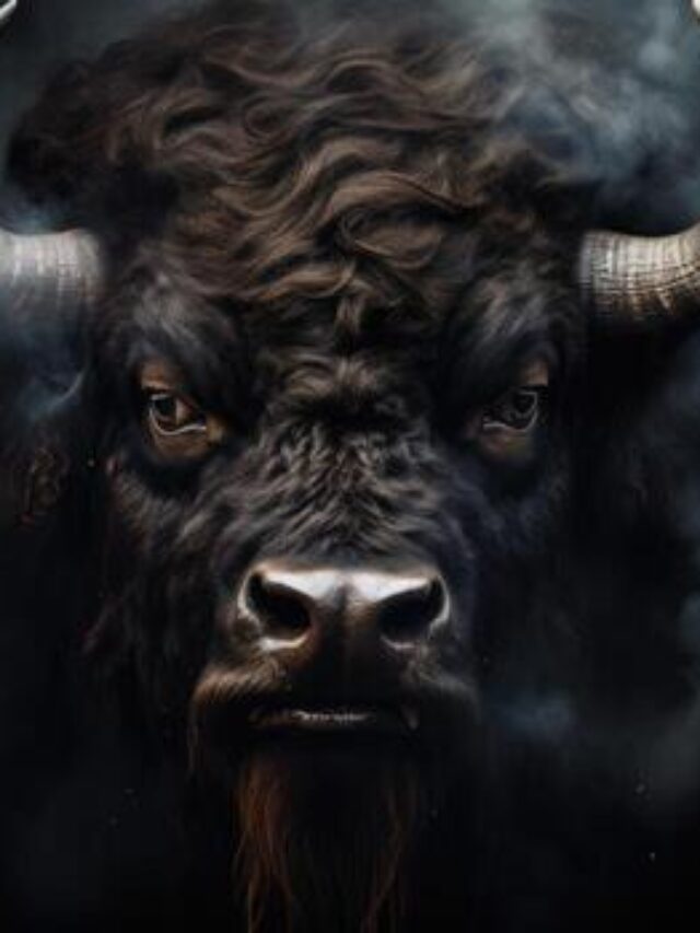 क्या सांड वाकई लाल रंग देखकर भड़कता है? जानिए इस पुरानी गलतफहमी के पीछे का असली वैज्ञानिक सच।